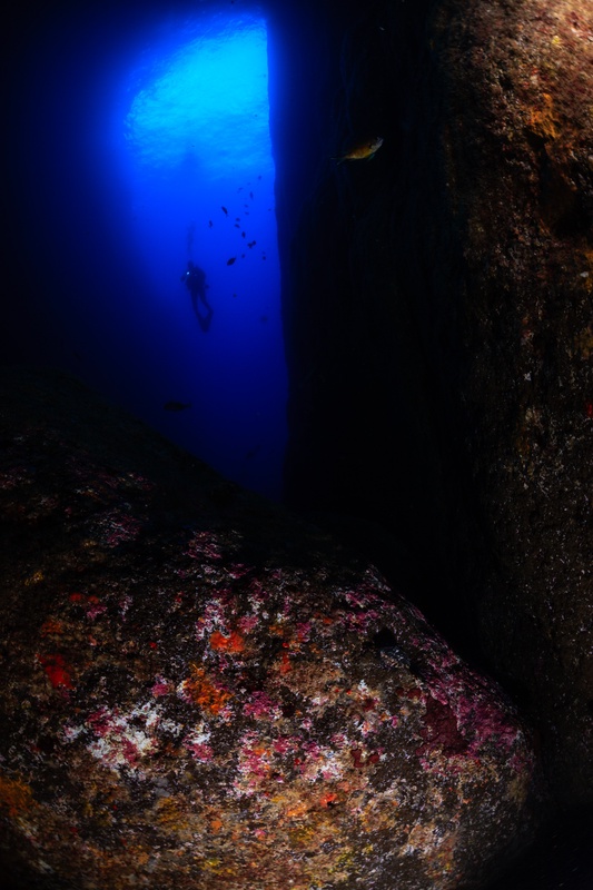 Diver slips between volcanic boulders crusted with pink coralline algae, blue light spilling from above.