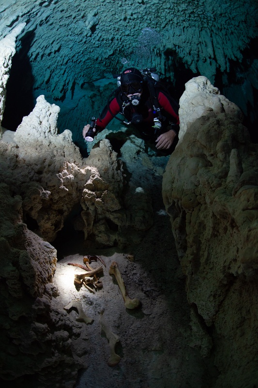 Cave diver studying animal bones on the cenote floor beside stalactites and fallen limestone.