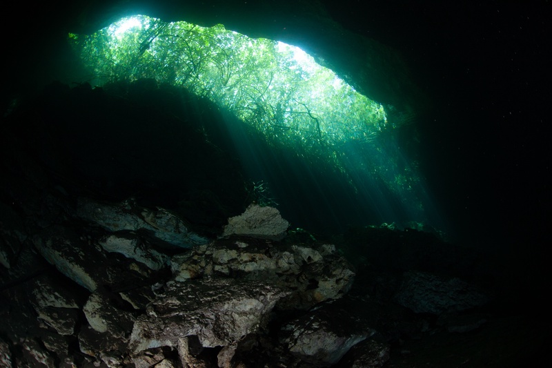 Jungle foliage frames the cenote mouth while light falls across boulders on the rocky floor.