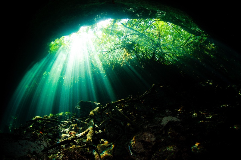 Sunbeams pierce the jungle canopy and strike cenote roots and rocks below.