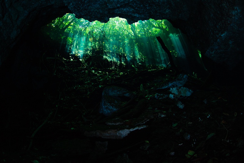 Green vegetation rings the cenote opening while clear water catches the light from above.