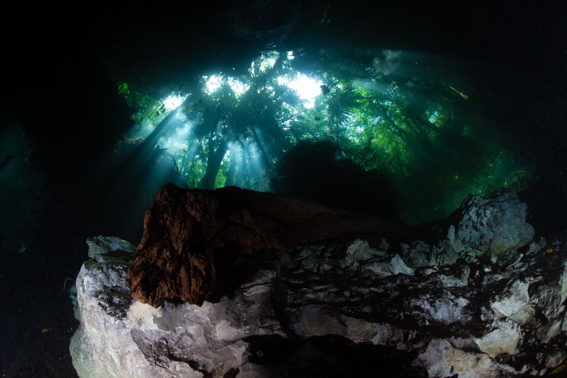 Cenote opening framed by jungle canopy, with light shafts falling onto rocks deep below.