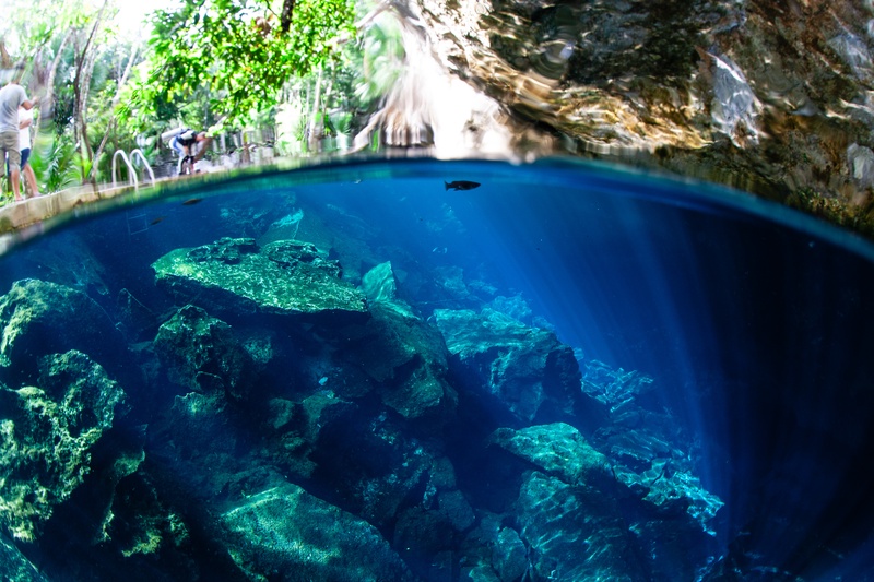 Split shot of a cenote: submerged boulders and sun rays below, dense tropical greenery above.