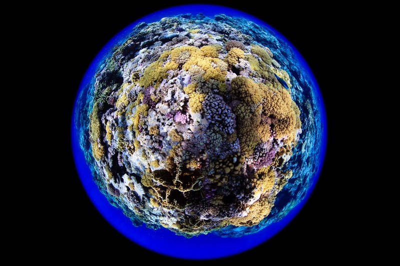 Circular fisheye view turns a Sudan coral reef into a tiny planet of hard and soft corals.