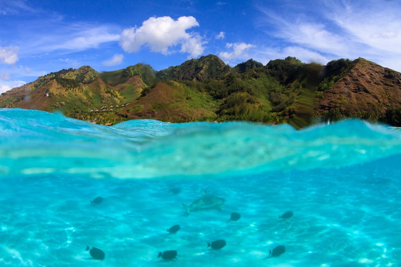 Moorea split shot with jagged mountains above, plus reef fish and a stingray below the surface.