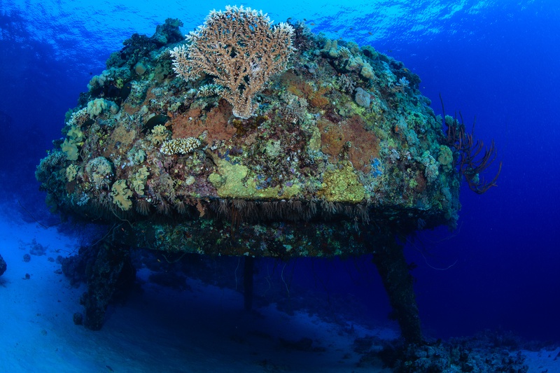 Coral-covered Precontinent II habitat on stilts above the Sudanese seabed, framed by clear blue water.
