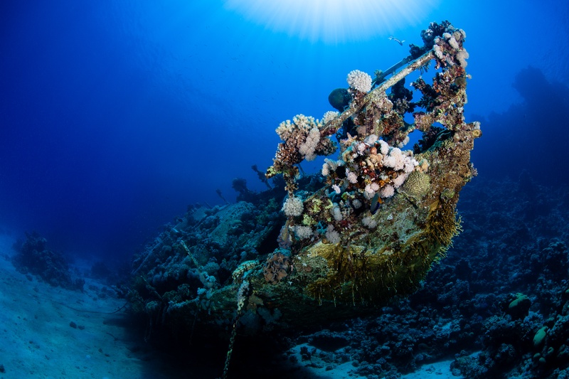 Coral-coated wreck bow rises from the seabed, sunbeams fanning through the water behind it.