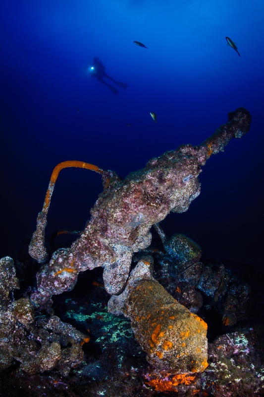 Coral-crusted cannons and wreck remnants on the seabed, a diver's torch cutting down from above.