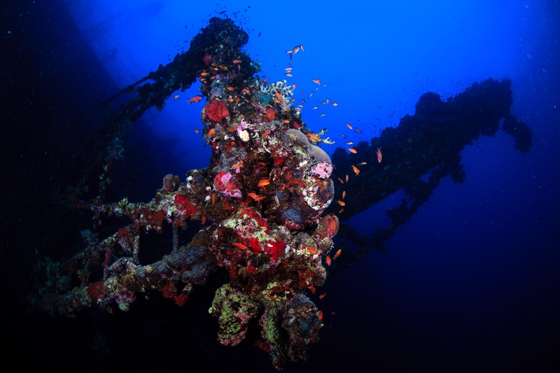 Coral-covered mast rises from the Umbria, ringed by orange anthias and sponges.