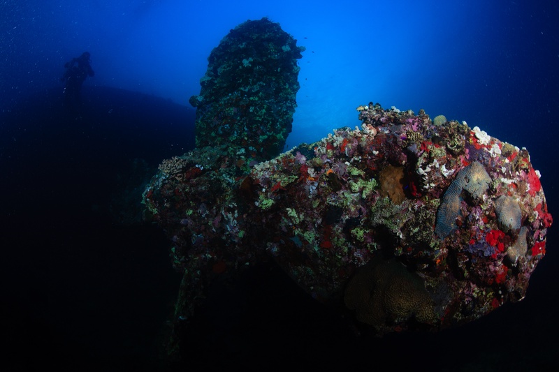 Coral-crusted Umbria propeller fills the frame, a diver hanging small in the distance behind.