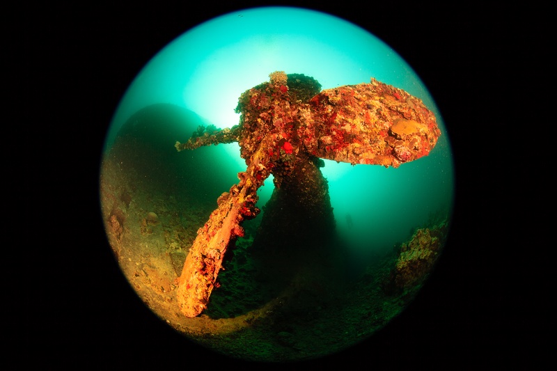 Umbria propeller thick with coral growth looms in murky green water, framed in circular fisheye.