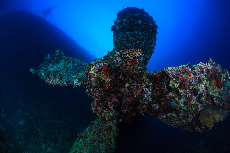 Coral-covered Umbria propeller rises from the reef, a diver silhouette hanging in the background.