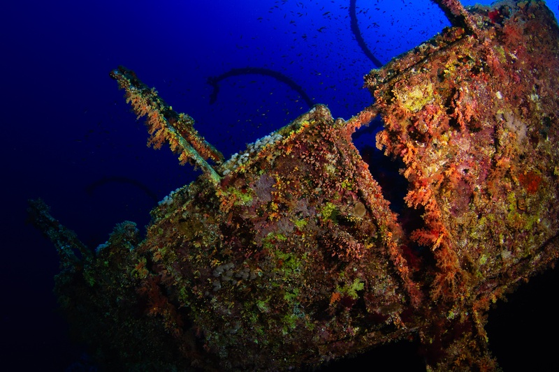 Shipwreck structure furred with orange and yellow soft corals, fish suspended against the dark water.
