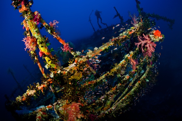 Wrecks