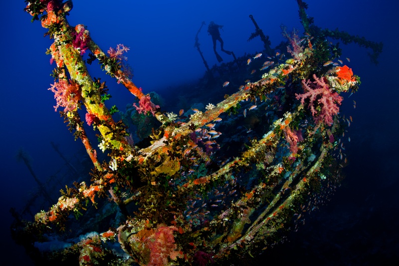 Coral-draped Aida alive with anthias, pink soft corals, and divers hanging as blue silhouettes.