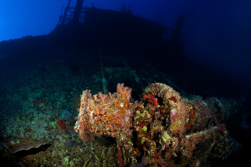 Soft corals cloak Aida debris in the foreground while the ship's dark outline fades into depth.